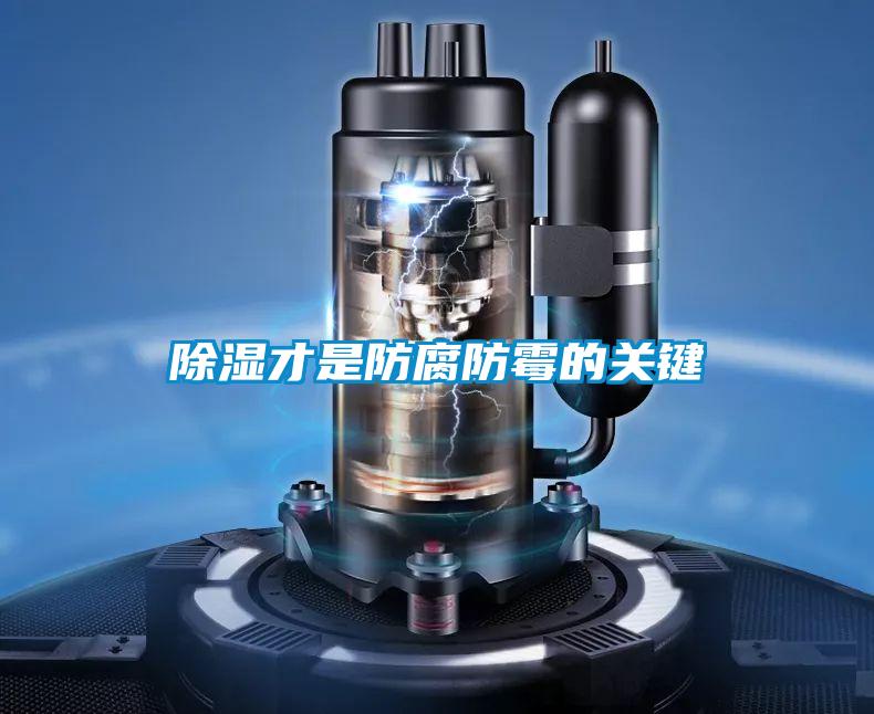 黄瓜视频下载污才是防腐防霉的关键