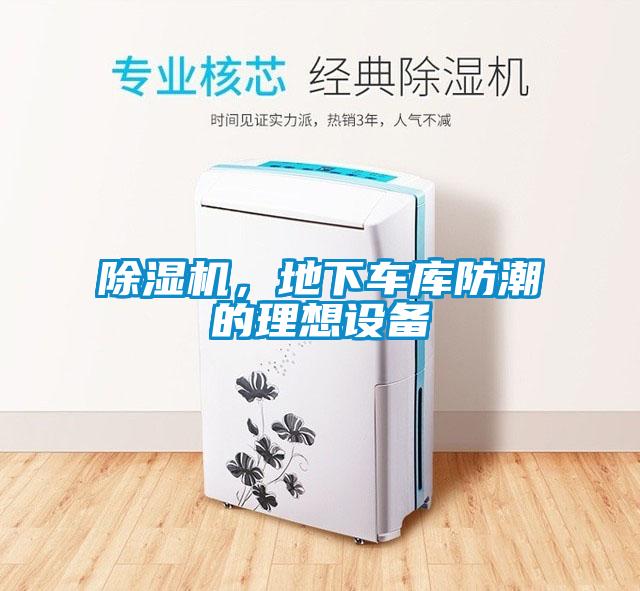 黄瓜视频下载污机，地下车库防潮的理想设备