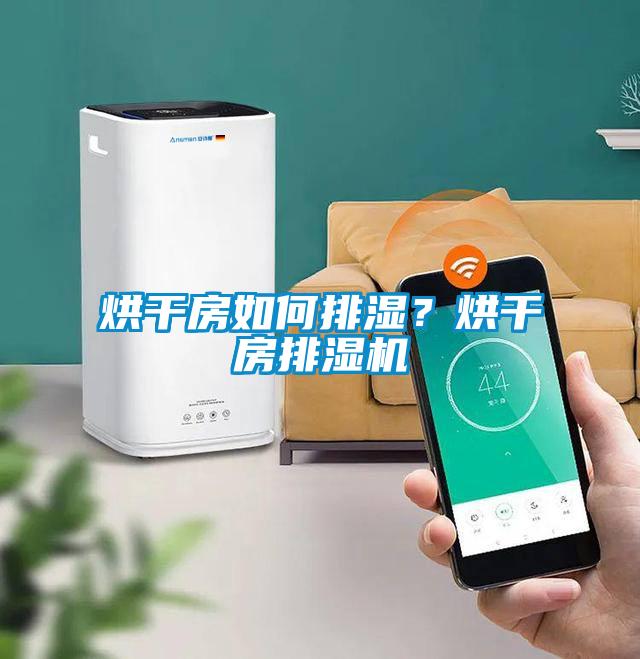 烘干房如何排湿？烘干房排湿机