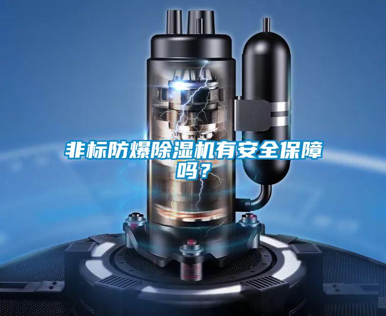 非标防爆黄瓜视频下载污机有安全保障吗？
