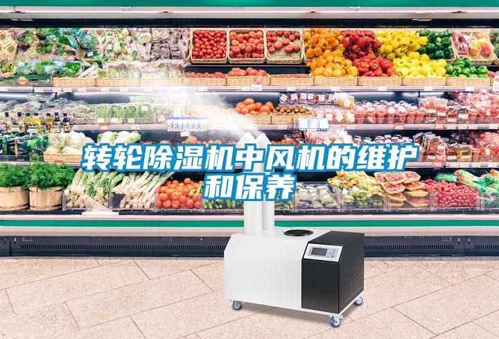转轮黄瓜视频下载污机中风机的维护和保养