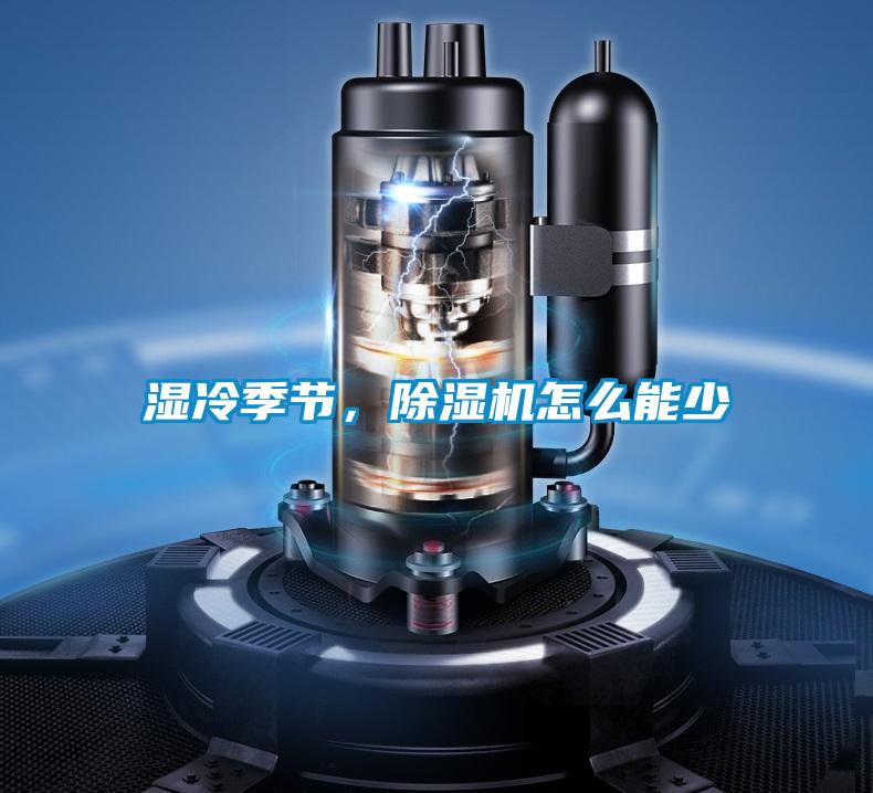 湿冷季节，黄瓜视频下载污机怎么能少