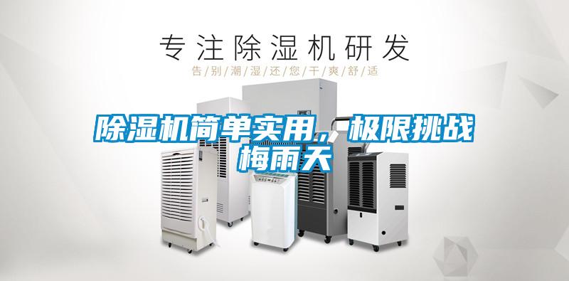 黄瓜视频下载污机简单实用，极限挑战梅雨天