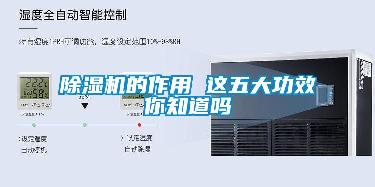 黄瓜视频下载污机的作用 这五大功效你知道吗