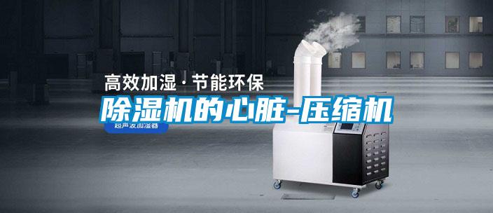 黄瓜视频下载污机的心脏-压缩机