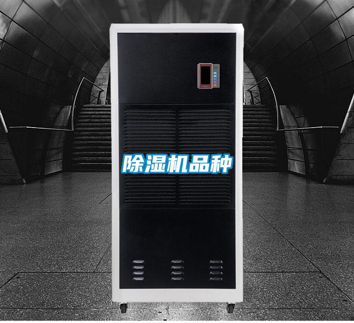 黄瓜视频下载污机品种
