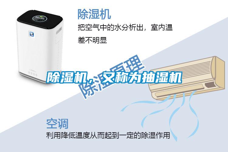 黄瓜视频下载污机，又称为抽湿机