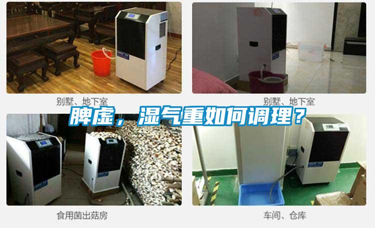脾虚，湿气重如何调理？