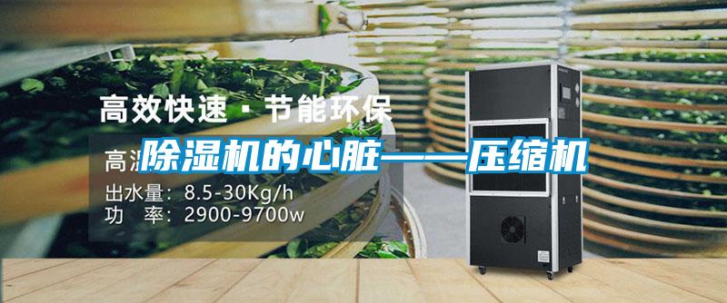 黄瓜视频下载污机的心脏——压缩机