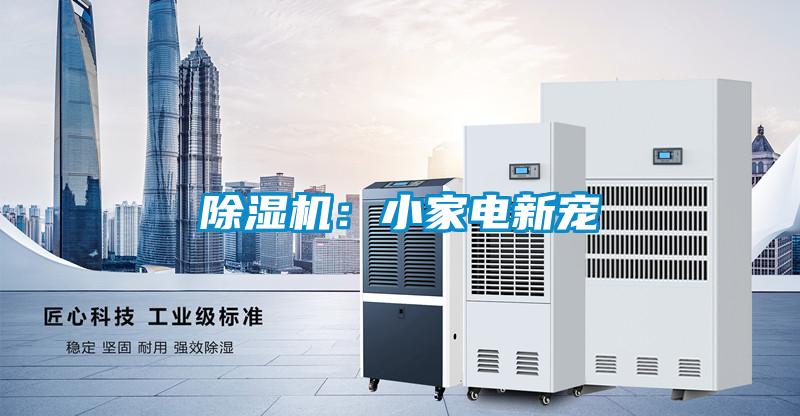 黄瓜视频下载污机：小家电新宠