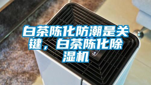 白茶陈化防潮是关键，白茶陈化黄瓜视频下载污机