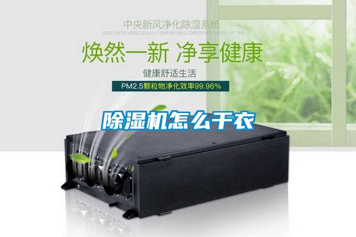 黄瓜视频下载污机怎么干衣