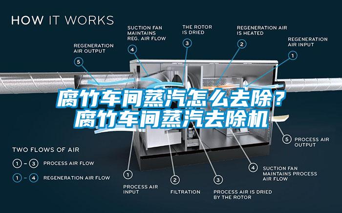 腐竹车间蒸汽怎么去除？腐竹车间蒸汽去除机