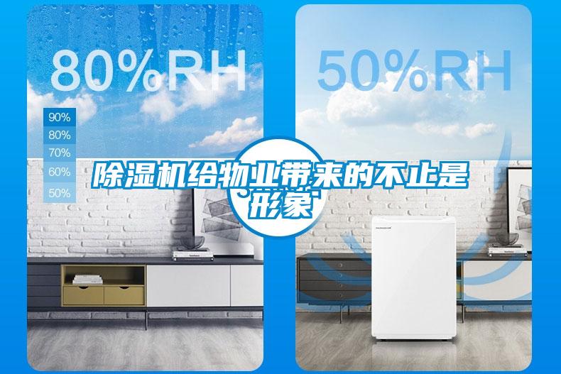 黄瓜视频下载污机给物业带来的不止是形象