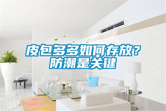 皮包多多如何存放？防潮是关键