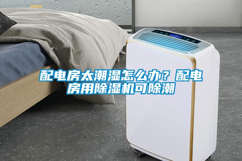 配电房太潮湿怎么办？配电房用黄瓜视频下载污机可除潮