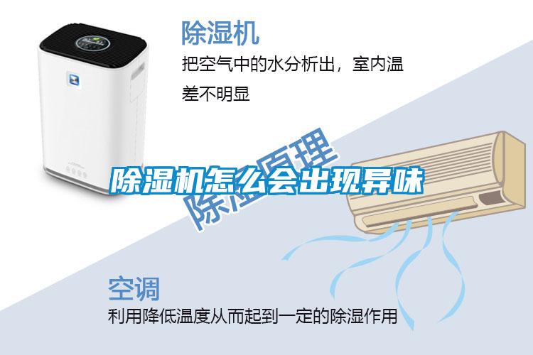 黄瓜视频下载污机怎么会出现异味