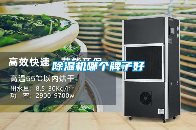 黄瓜视频下载污机哪个牌子好