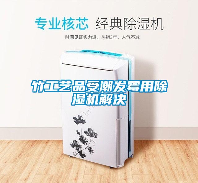竹工艺品受潮发霉用黄瓜视频下载污机解决