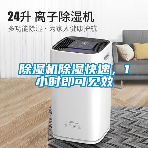 黄瓜视频下载污机黄瓜视频下载污快速，1小时即可见效