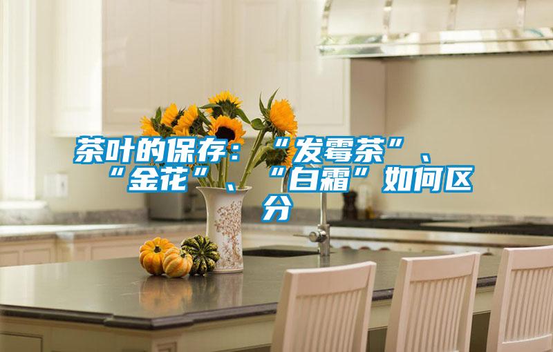 茶叶的保存：“发霉茶”、“金花”、“白霜”如何区分