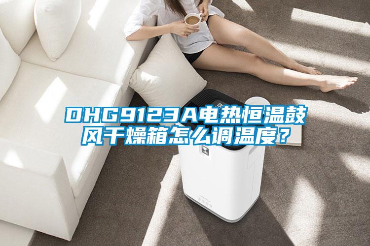 DHG9123A电热恒温鼓风干燥箱怎么调温度？