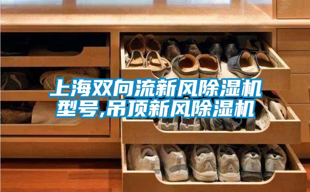 上海双向流新风黄瓜视频下载污机型号,吊顶新风黄瓜视频下载污机