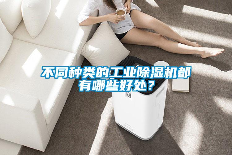 不同种类的工业黄瓜视频下载污机都有哪些好处？