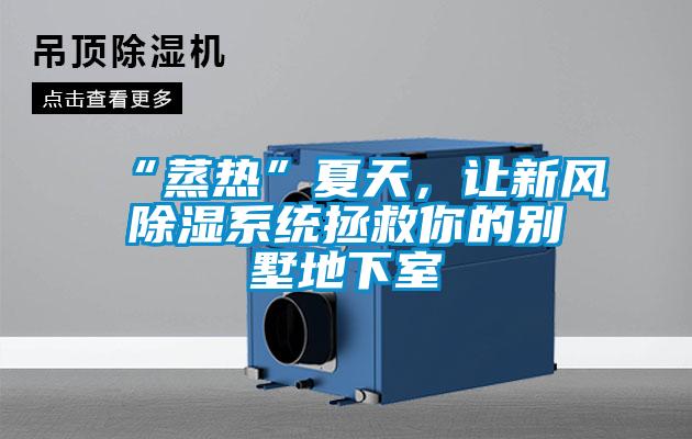 “蒸热”夏天，让新风黄瓜视频下载污系统拯救你的别墅地下室