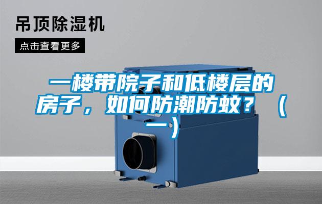 一楼带院子和低楼层的房子，如何防潮防蚊？（一）