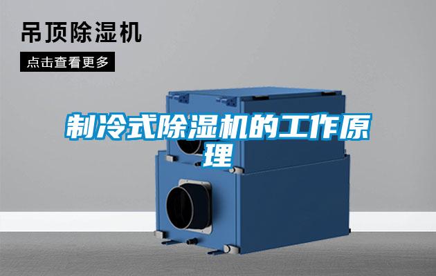 制冷式黄瓜视频下载污机的工作原理