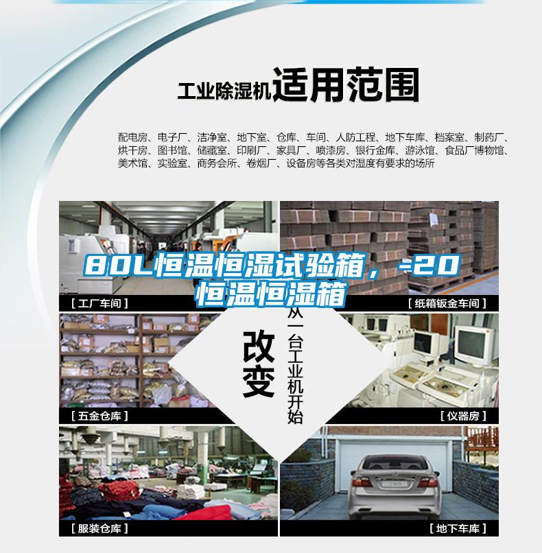 80L恒温恒湿试验箱，-20℃恒温恒湿箱