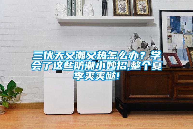 三伏天又潮又热怎么办？学会了这些防潮小妙招,整个夏季爽爽哒!