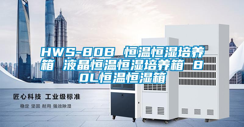 HWS-80B 恒温恒湿培养箱 液晶恒温恒湿培养箱 80L恒温恒湿箱
