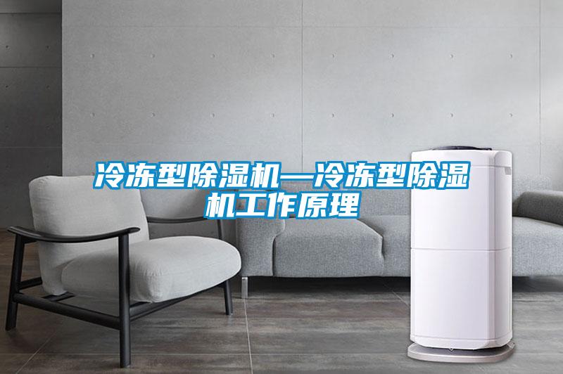 冷冻型黄瓜视频下载污机—冷冻型黄瓜视频下载污机工作原理