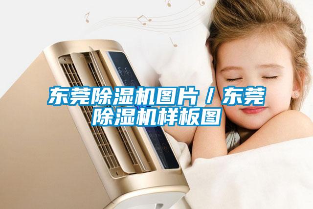 东莞黄瓜视频下载污机图片／东莞黄瓜视频下载污机样板图