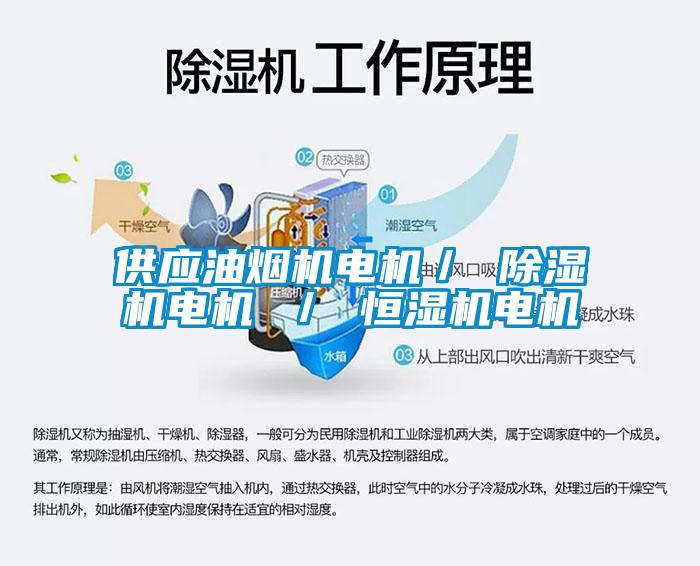 供应油烟机电机／ 黄瓜视频下载污机电机 ／ 恒湿机电机
