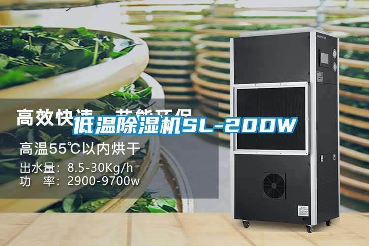 低温黄瓜视频下载污机SL-20DW