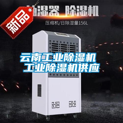 云南工业黄瓜视频下载污机 工业黄瓜视频下载污机供应