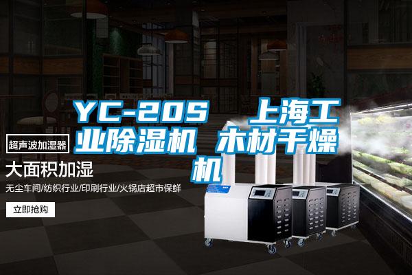 YC-20S  上海工业黄瓜视频下载污机 木材干燥机