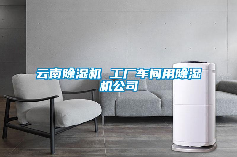 云南黄瓜视频下载污机 工厂车间用黄瓜视频下载污机公司