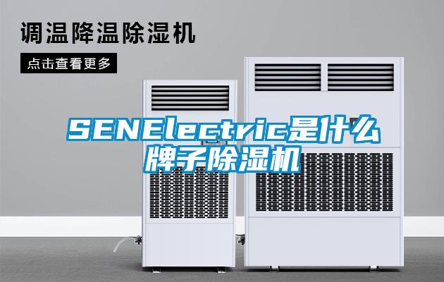 SENElectric是什么牌子黄瓜视频下载污机