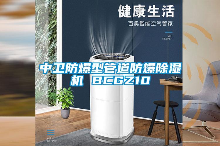 中卫防爆型管道防爆黄瓜视频下载污机 BCGZ10