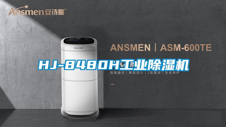 HJ-8480H工业黄瓜视频下载污机