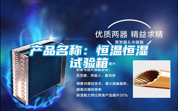产品名称：恒温恒湿试验箱