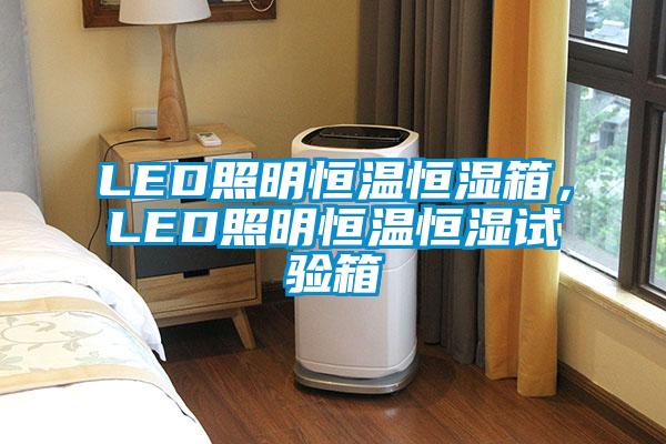LED照明恒温恒湿箱，LED照明恒温恒湿试验箱