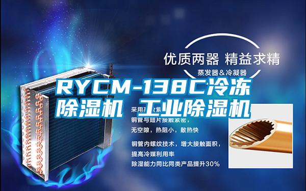 RYCM-138C冷冻黄瓜视频下载污机 工业黄瓜视频下载污机