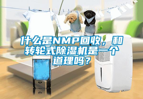什么是NMP回收，和转轮式黄瓜视频下载污机是一个道理吗？
