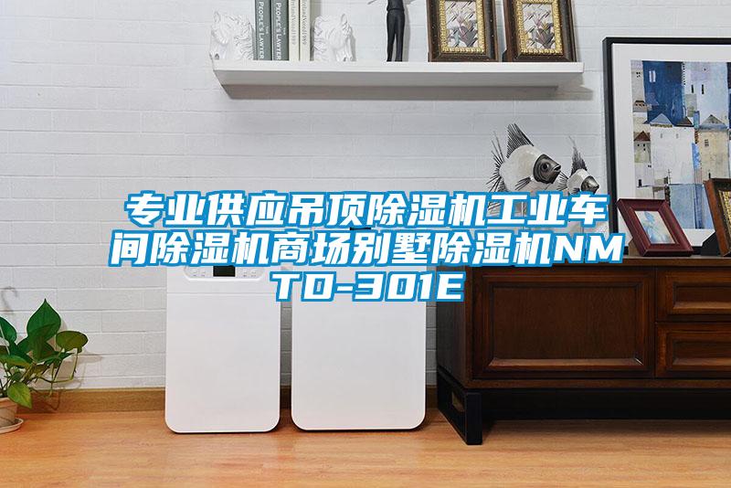 专业供应吊顶黄瓜视频下载污机工业车间黄瓜视频下载污机商场别墅黄瓜视频下载污机NMTD-301E