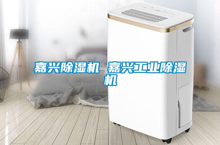 嘉兴黄瓜视频下载污机 嘉兴工业黄瓜视频下载污机